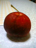 b0035324_7111335.jpg
