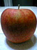 b0035324_7111366.jpg