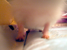 a0044146_2183614.jpg