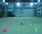 e0036748_1923326.jpg
