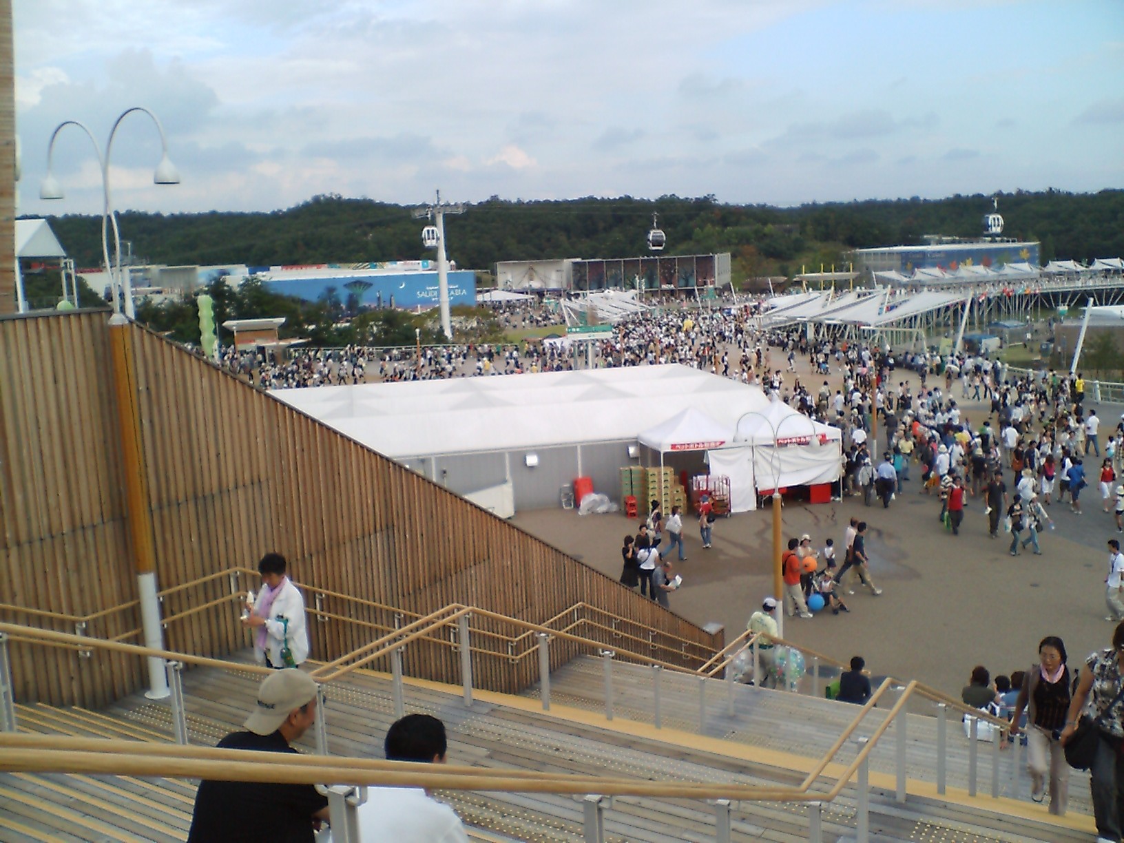 a0055650_8544795.jpg