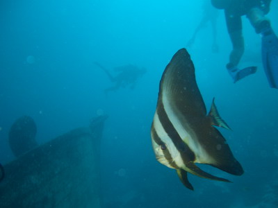 a0002177_21171416.jpg