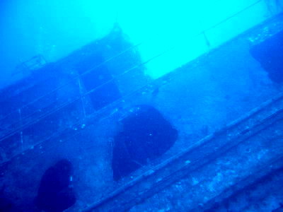 a0002177_21183746.jpg