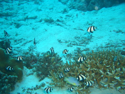 a0002177_21203642.jpg