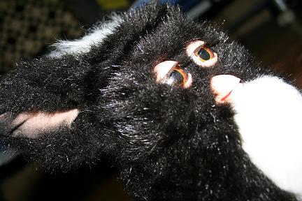 e0025280_22333156.jpg