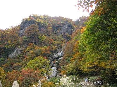 a0038882_2253644.jpg