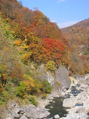 a0038882_23354334.jpg