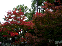 e0030085_2124226.jpg