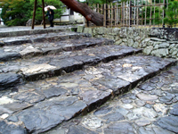 e0030085_2124592.jpg