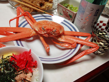 b0033490_20101728.jpg