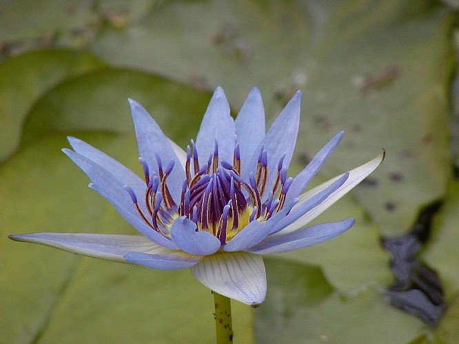 a0009600_1251382.jpg