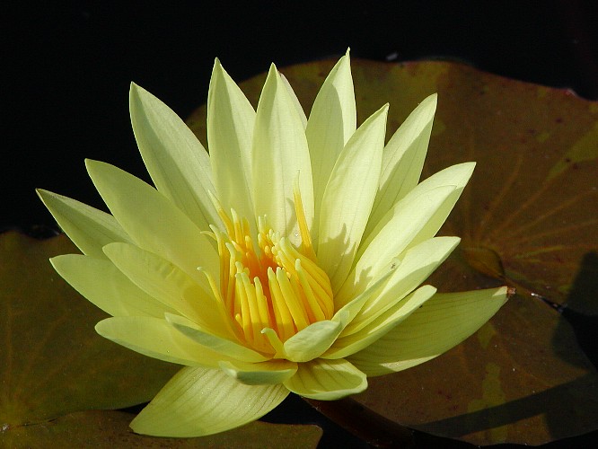 a0009600_1275771.jpg