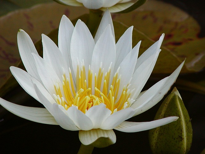 a0009600_1283792.jpg