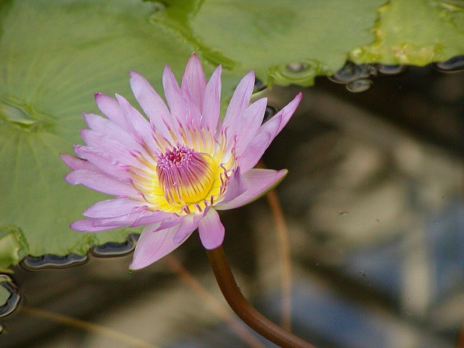 a0009600_12911100.jpg