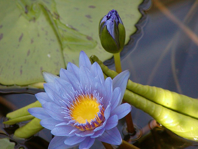 a0009600_1294552.jpg