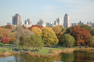 e0039002_850140.jpg