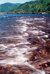 a0050405_66338.jpg