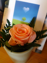 c0055305_221547.jpg