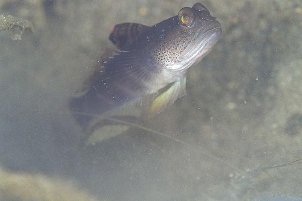 c0064907_21502476.jpg