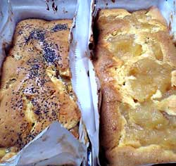 e0025410_222377.jpg