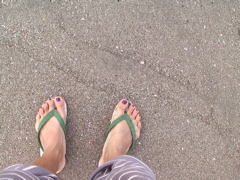 e0060517_7291458.jpg