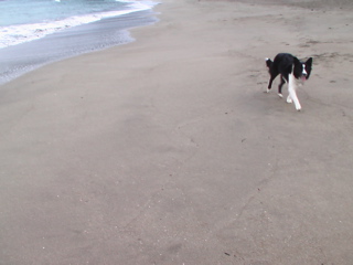 e0060517_7315394.jpg
