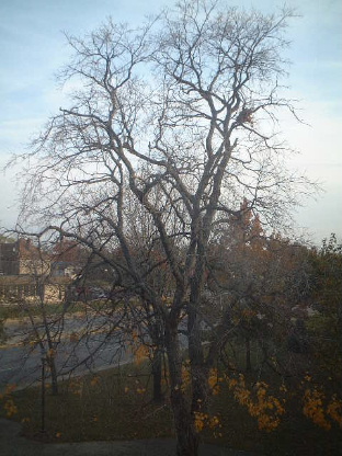 e0015618_712083.jpg