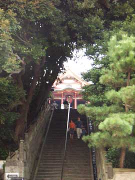 e0049318_2258558.jpg