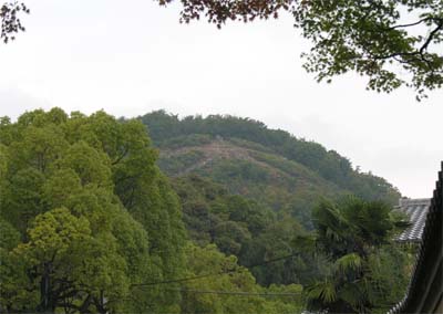 c0059521_22543399.jpg