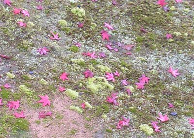 c0059521_22551376.jpg