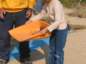 a0059328_1731627.jpg