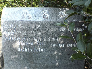 c0038334_22353119.jpg