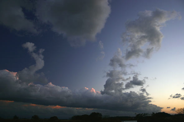 d0029746_228236.jpg