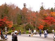 a0054647_0545587.jpg