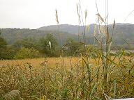 a0054647_0573974.jpg