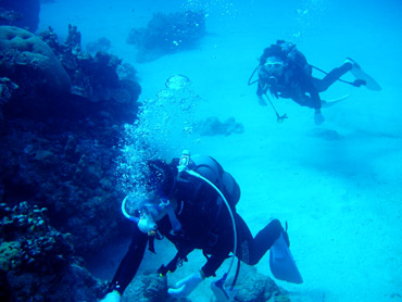 d0065247_20121979.jpg