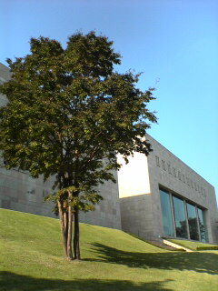e0074253_114873.jpg