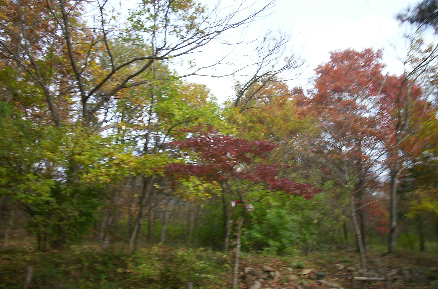 a0029157_9402162.jpg