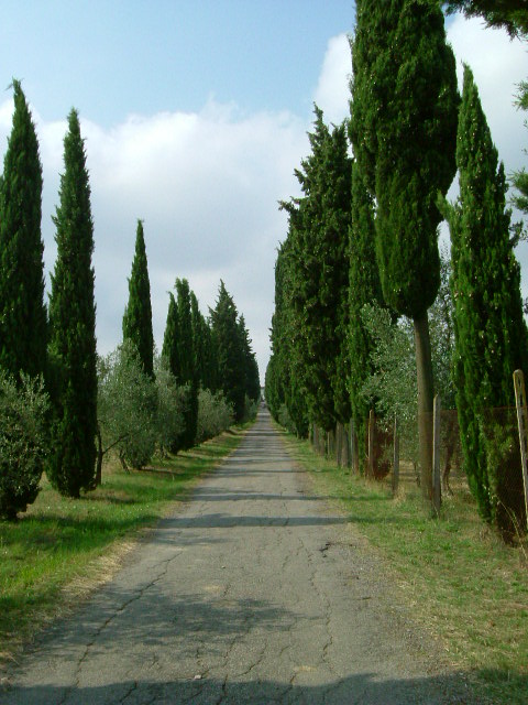 e0078071_2182740.jpg