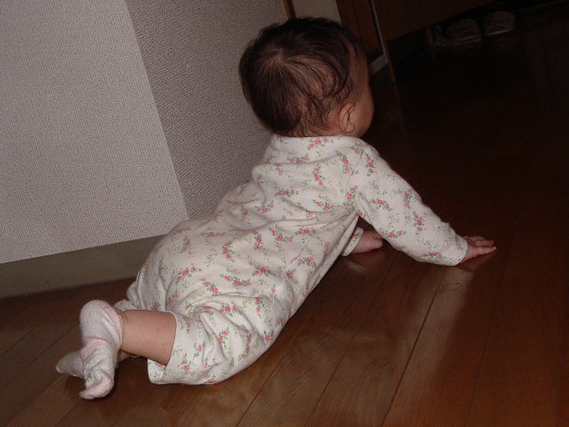 e0089272_15545698.jpg