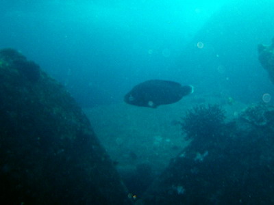 a0002177_22241223.jpg