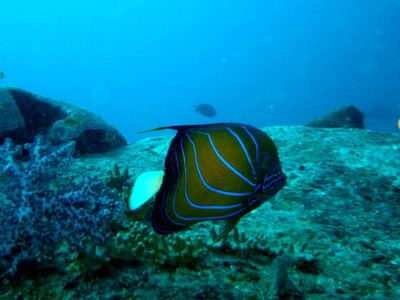 a0002177_22244917.jpg