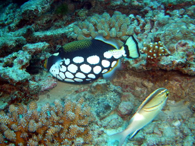 a0002177_22252459.jpg