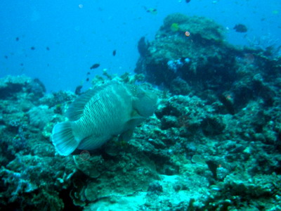 a0002177_22295768.jpg