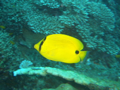a0002177_2234153.jpg
