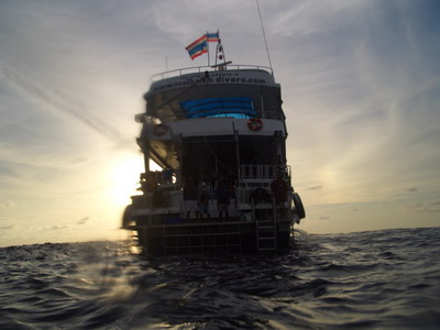 a0002177_22361561.jpg