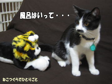 b0041182_12405030.jpg