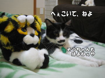 b0041182_1241452.jpg