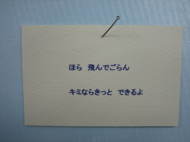 e0051194_033922.jpg