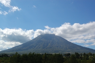 a0062697_1655321.jpg